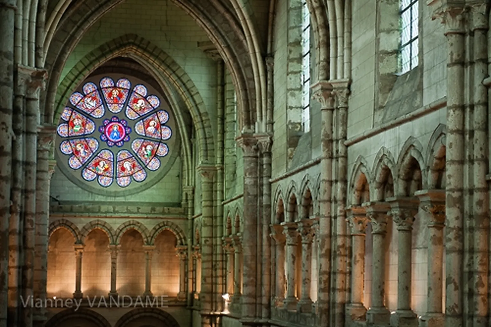 Photographe, VIANNEY VANDAME