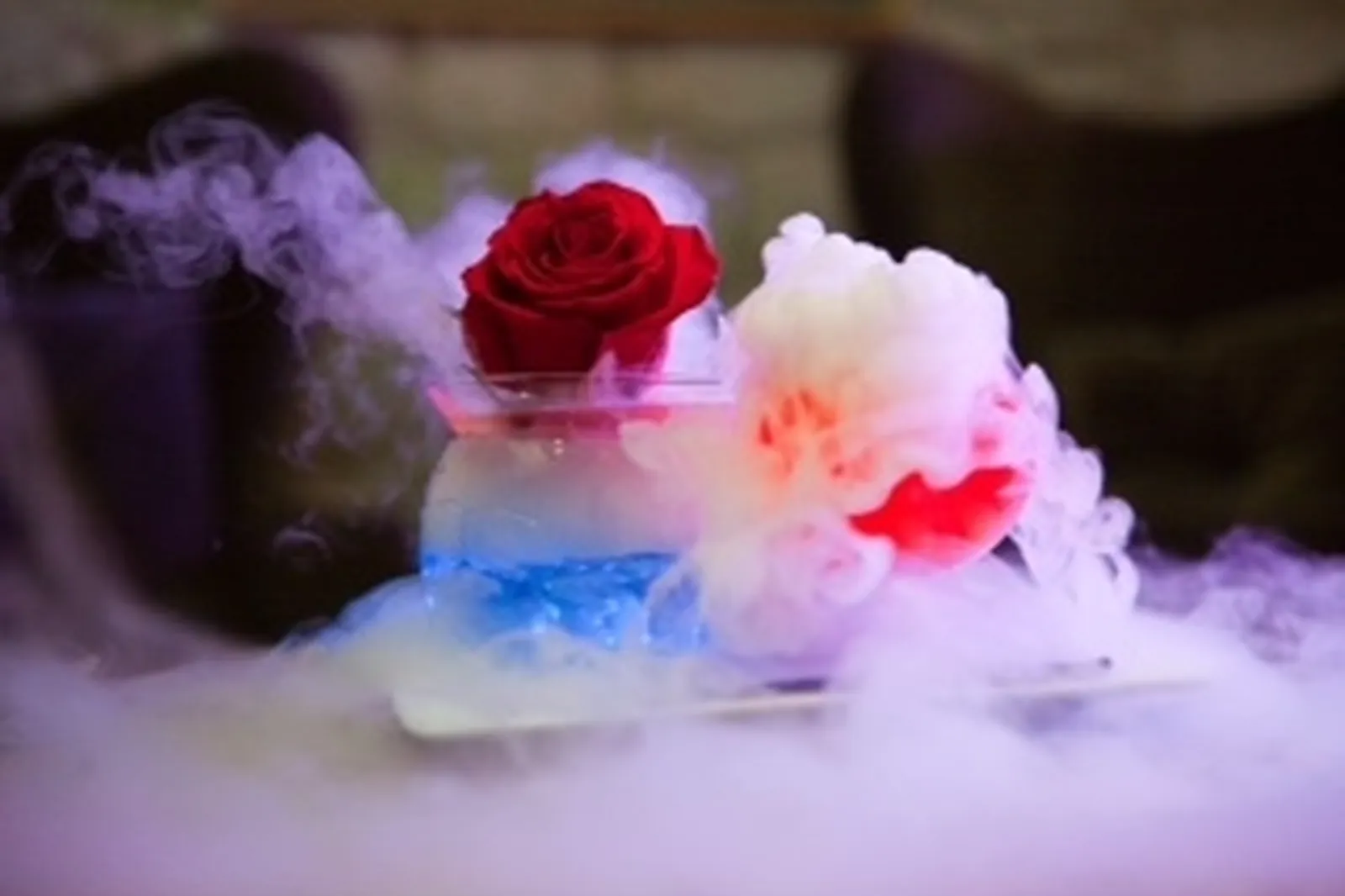 Bar, BAR CONSULTING ART