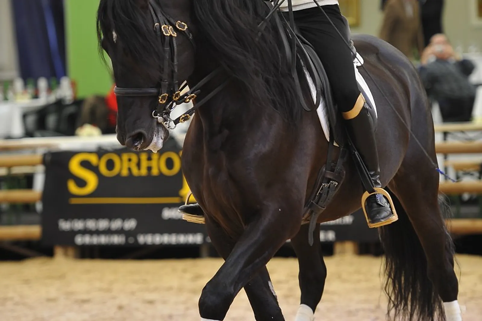 Animations événementielles, LES ATTELAGES BLANC