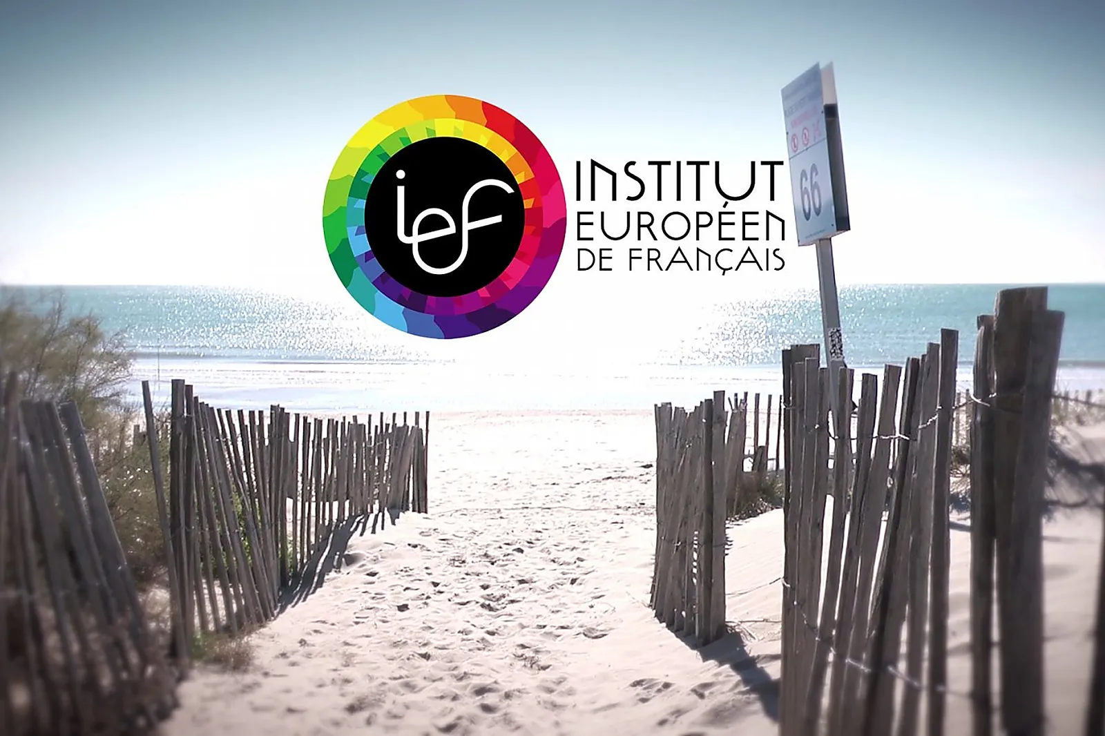 Cafés et Restaurants, LE SINGE À 3 TÊTES