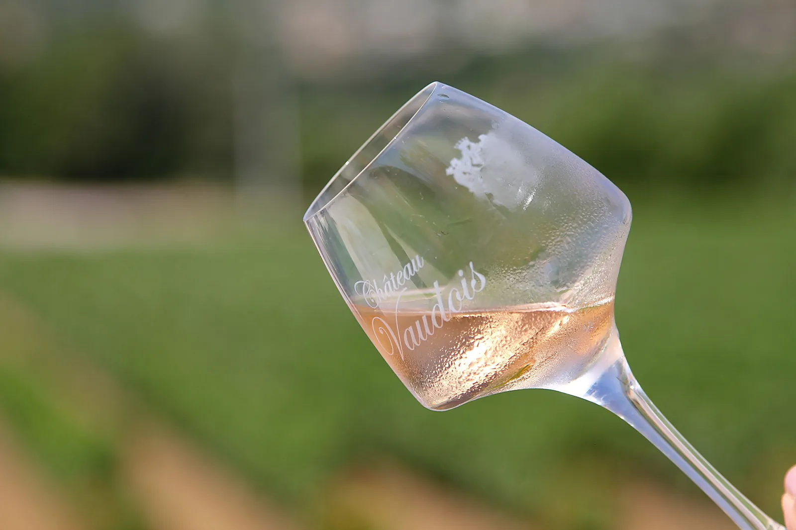 Lieux événementiels, CHÂTEAU VAUDOIS