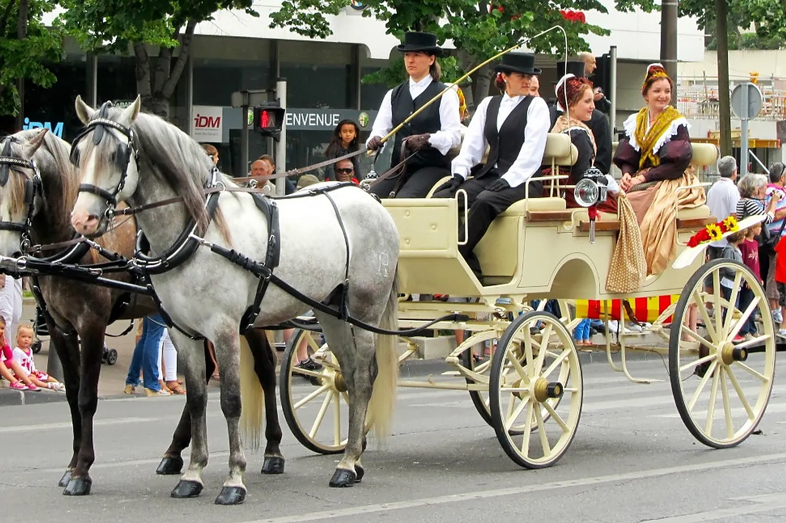 Voiturier, LES ATTELAGES BLANC