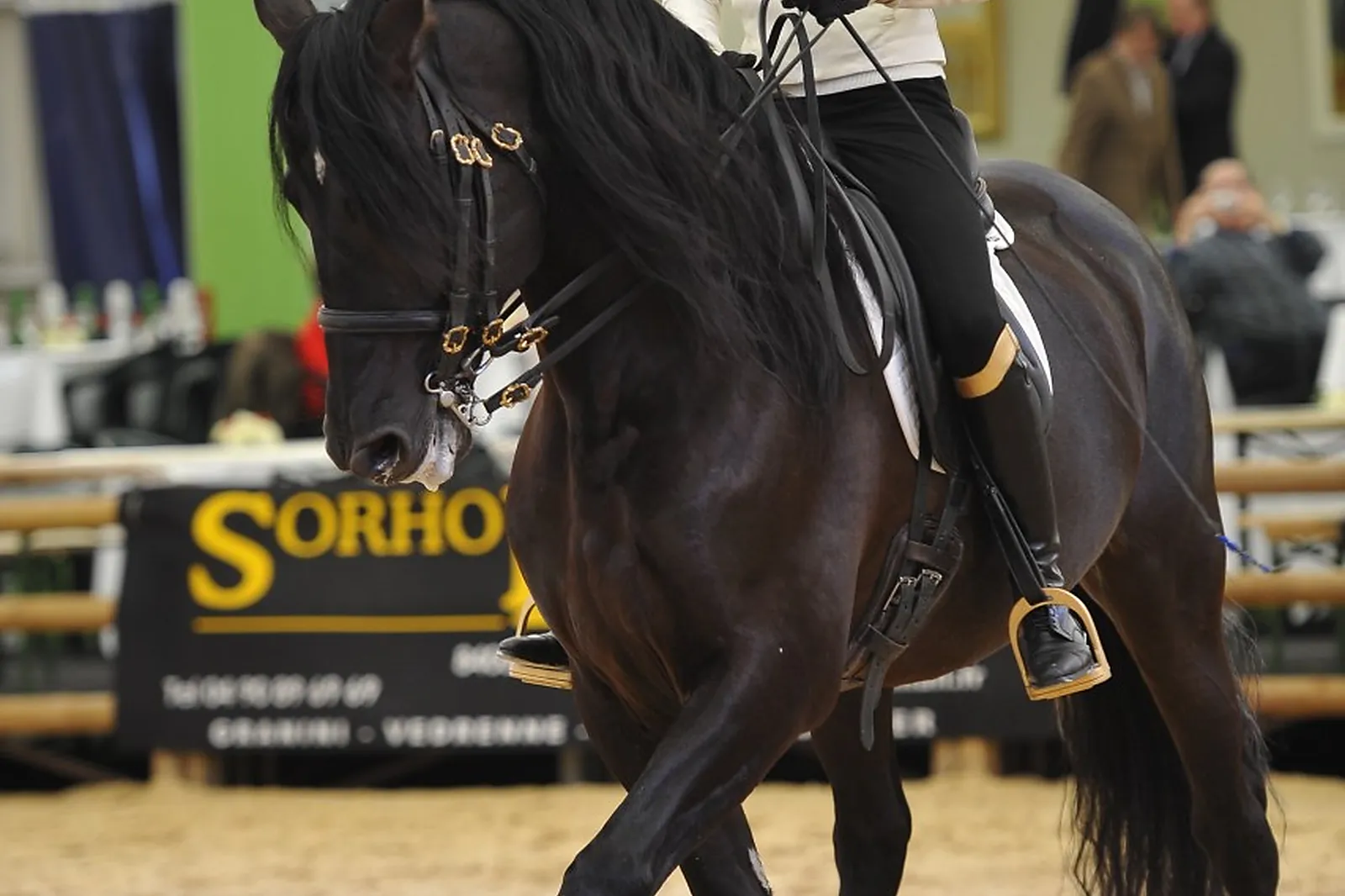 Voiturier, LES ATTELAGES BLANC