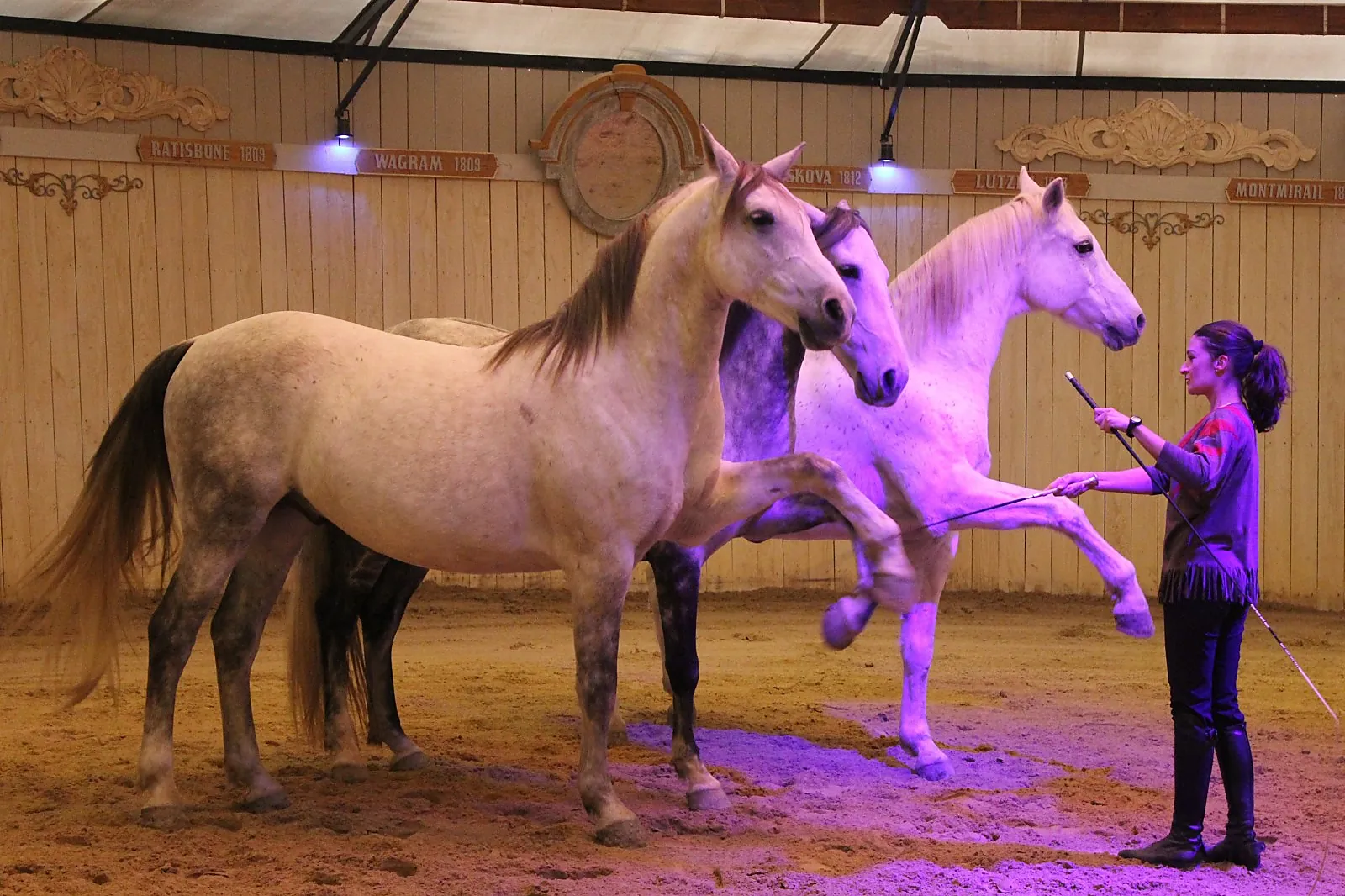 Voiturier, LES ATTELAGES BLANC