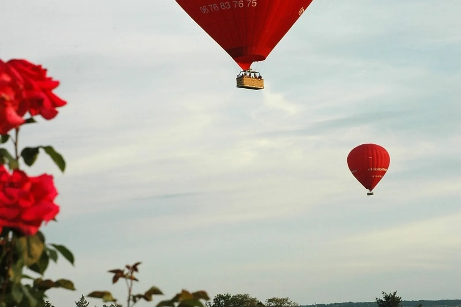 Animations événementielles, ART MONTGOLFIÈRES