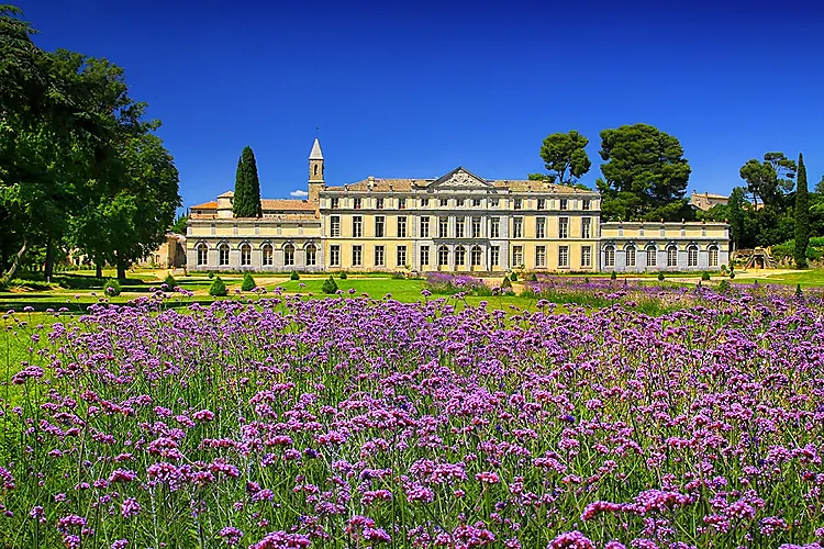 CHÂTEAU DE PENNAUTIER 