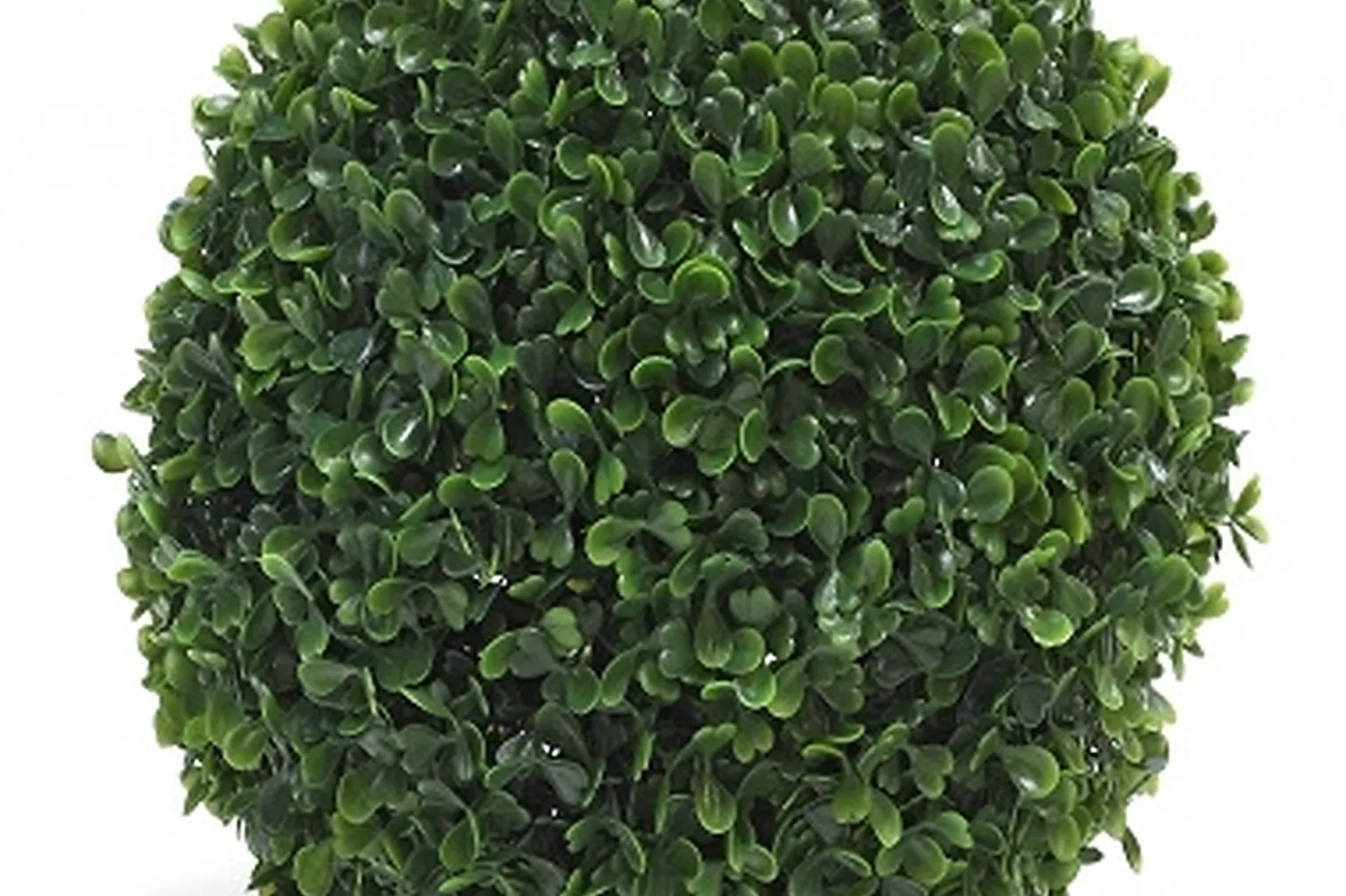 Mobilier et décoration, EVENTS DAY