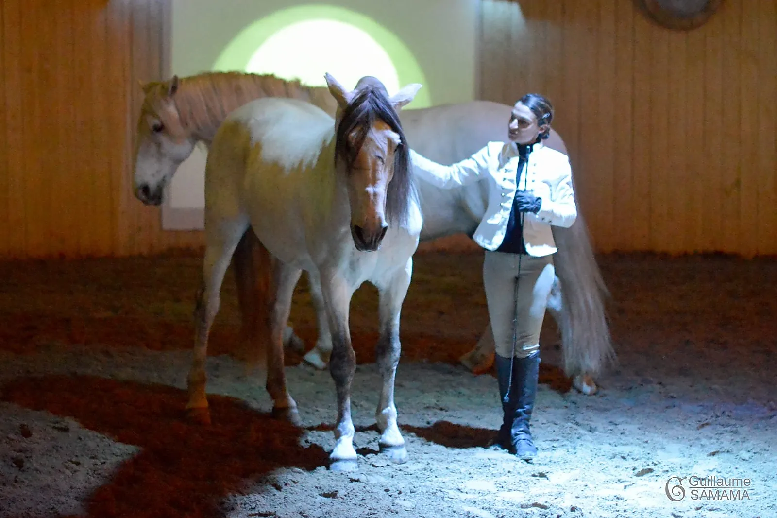 Animations événementielles, LES ATTELAGES BLANC