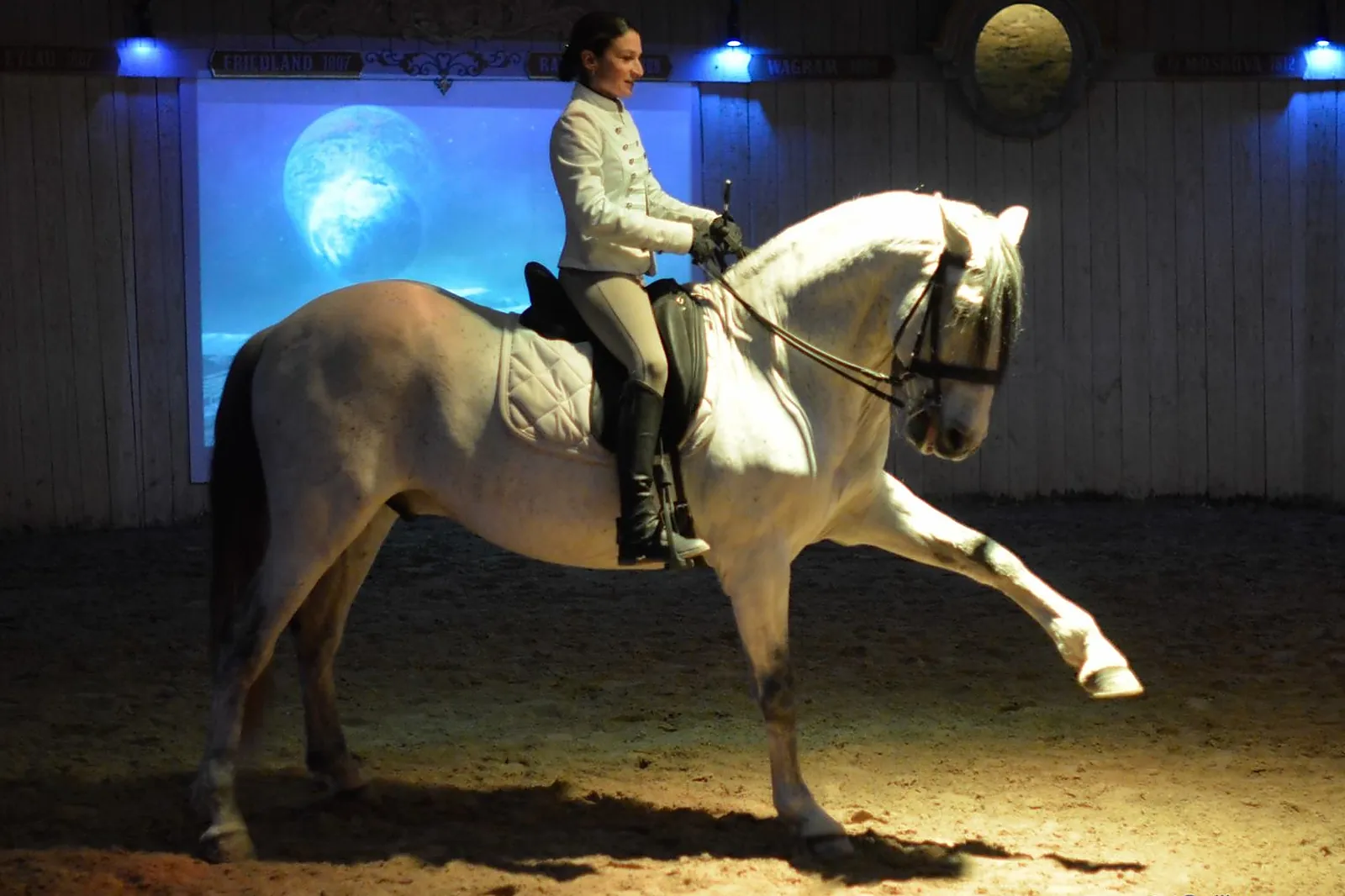 Animations événementielles, LES ATTELAGES BLANC