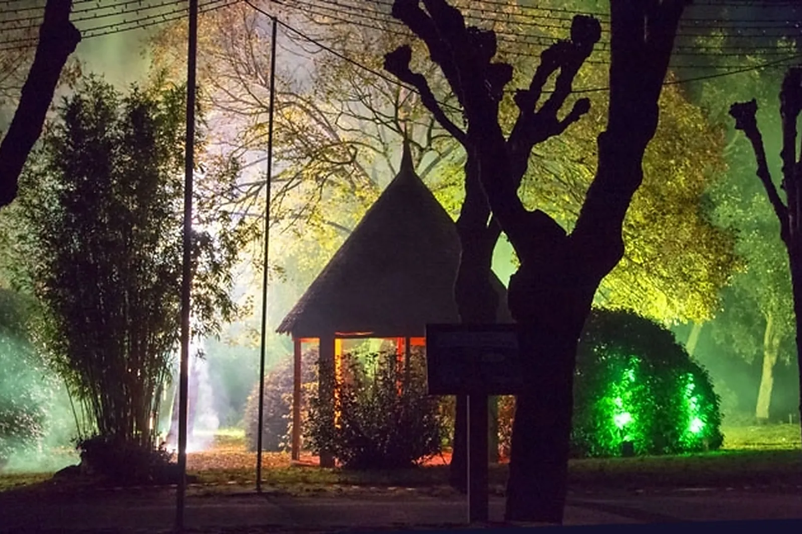 Animations événementielles, DAVID ROCHAIS