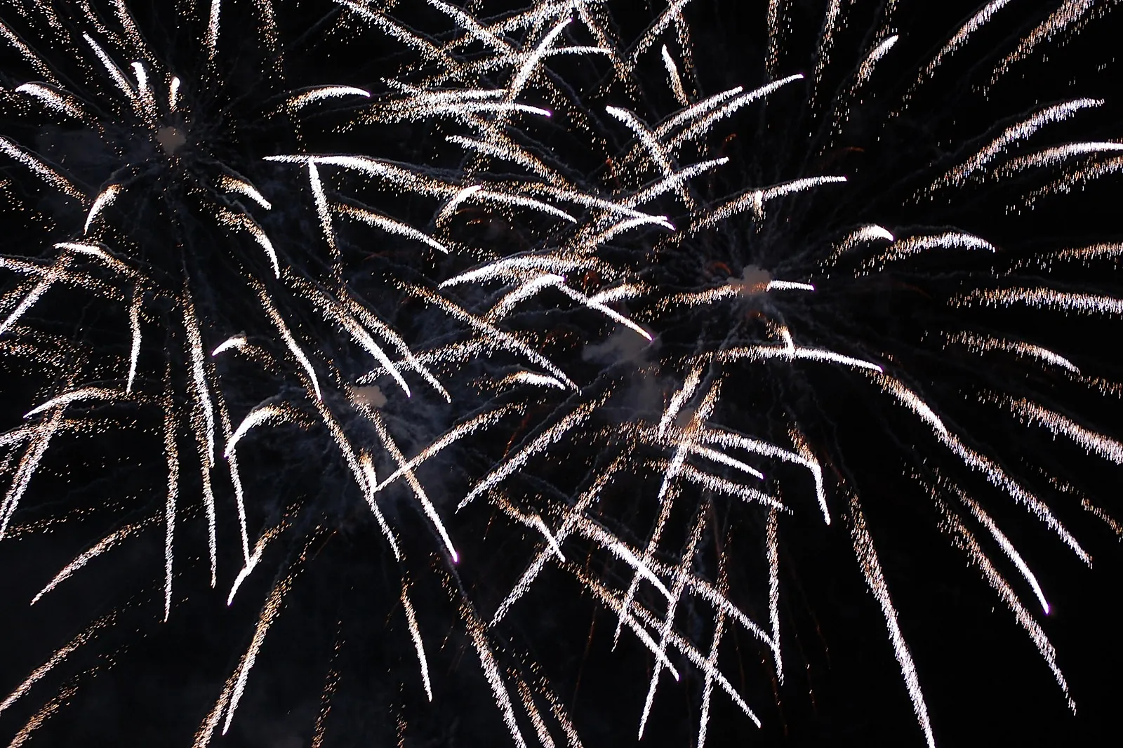 Animations événementielles, DAVID ROCHAIS