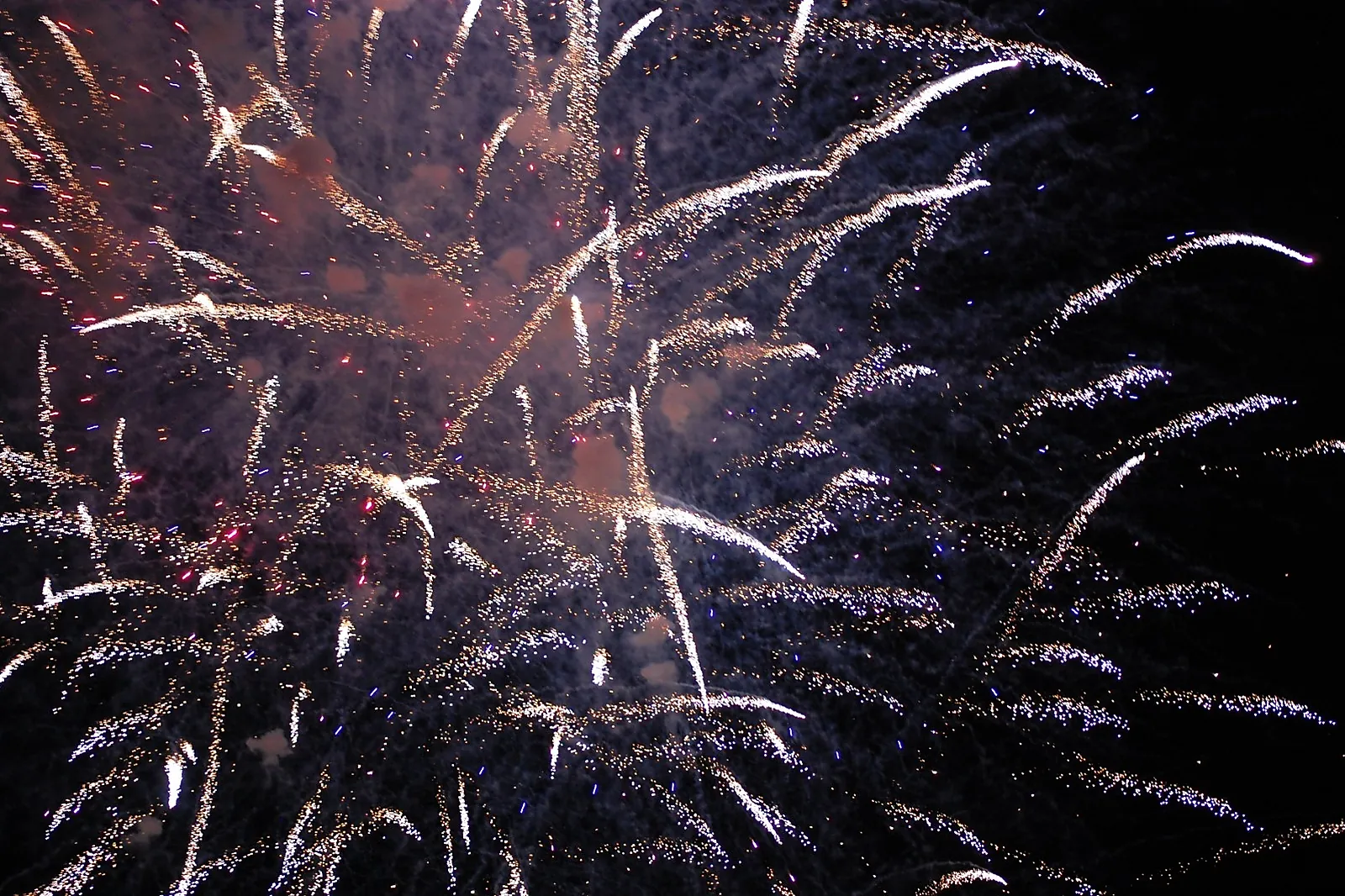 Animations événementielles, DAVID ROCHAIS