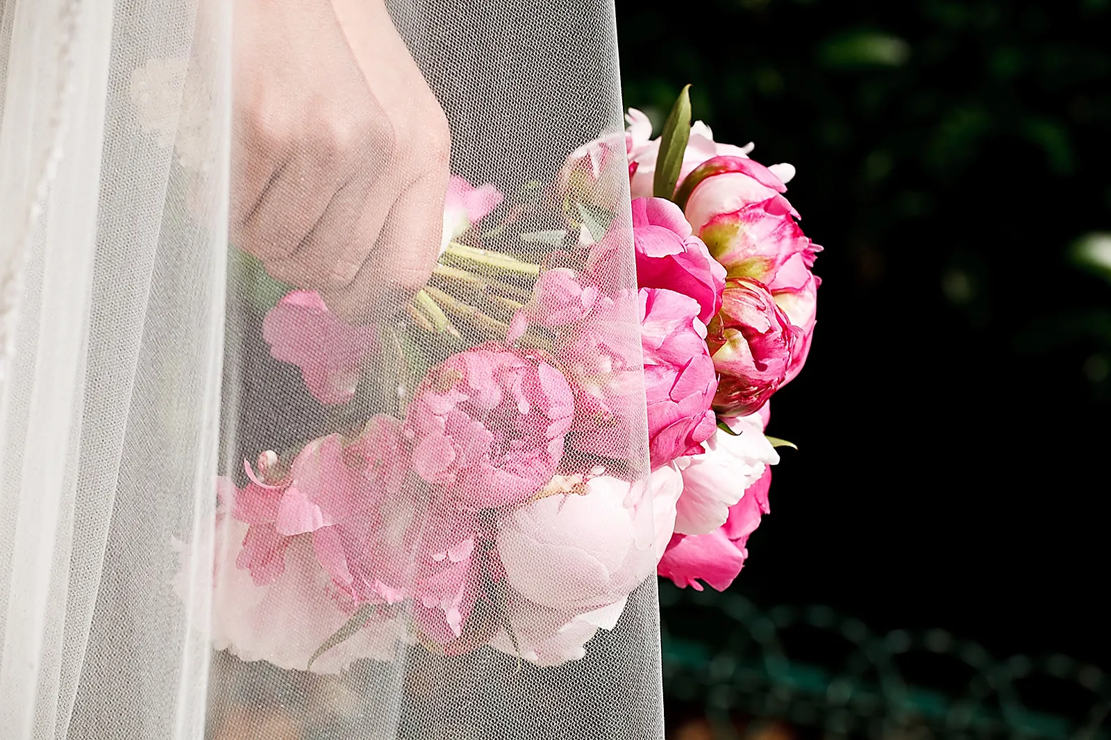 Photographe, ISABELLE NERY PHOTOGRAPHIE 