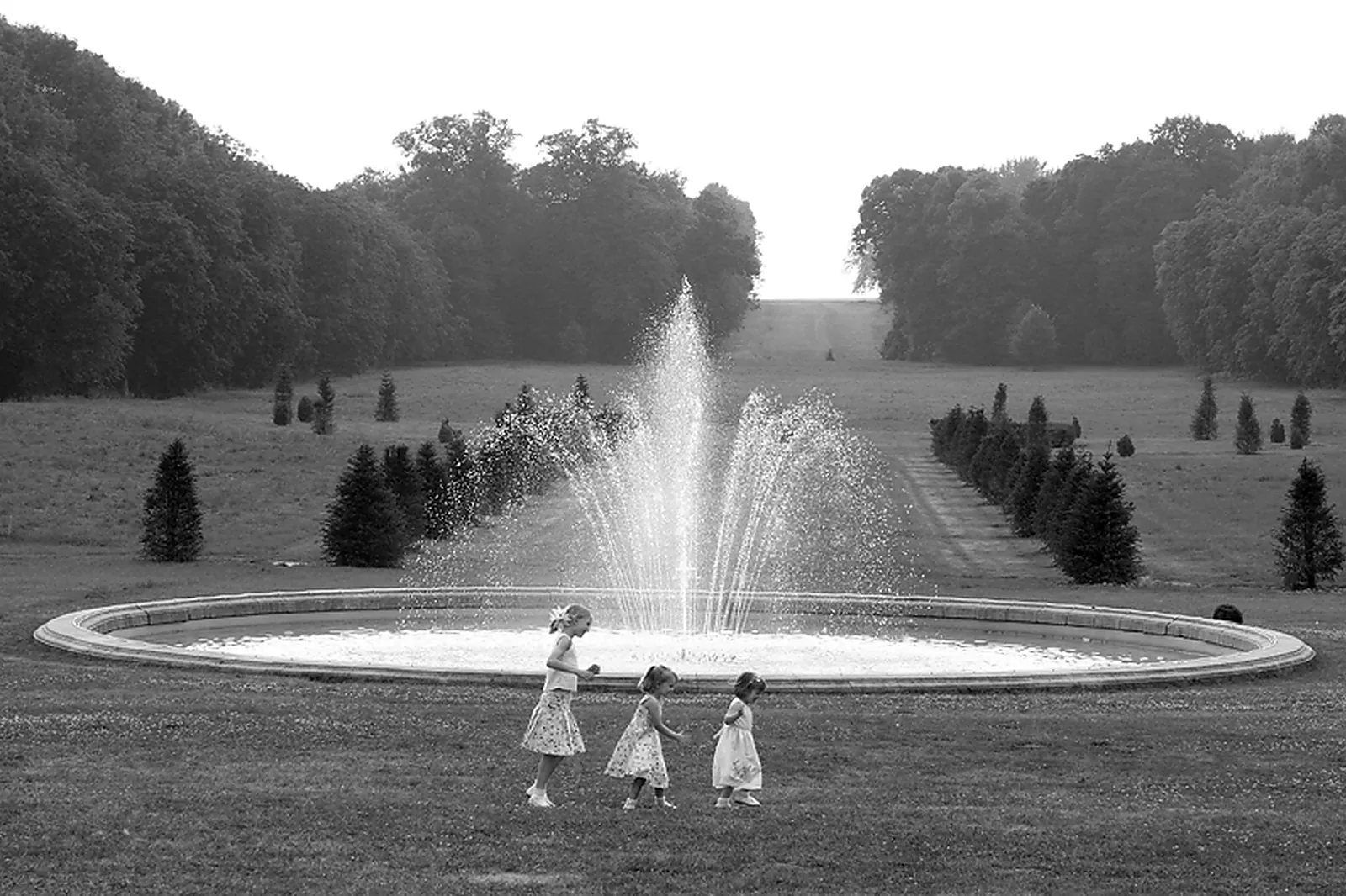 Photographe, ISABELLE NERY PHOTOGRAPHIE 