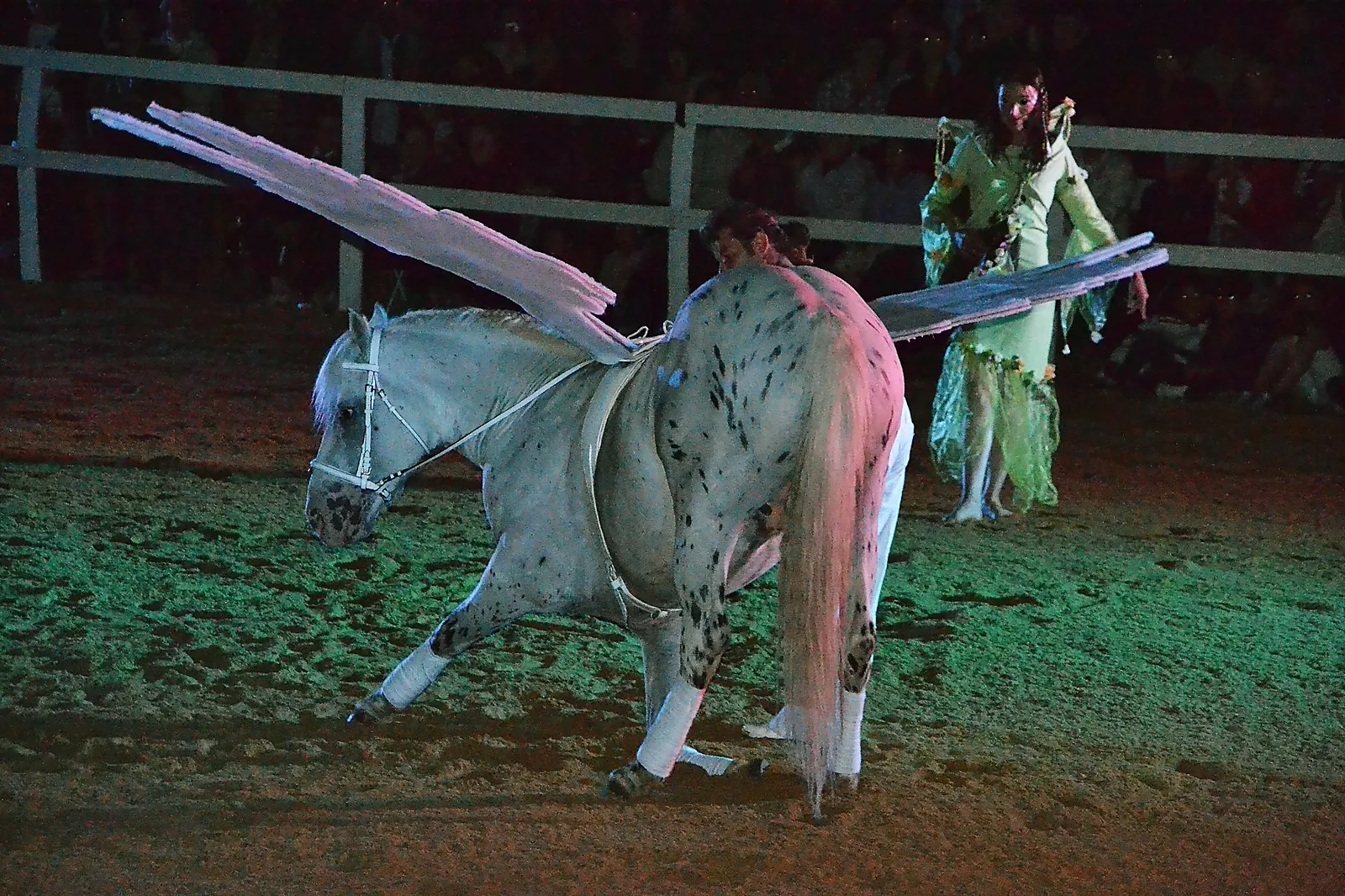 Animations événementielles, ECURIE CAPALLE