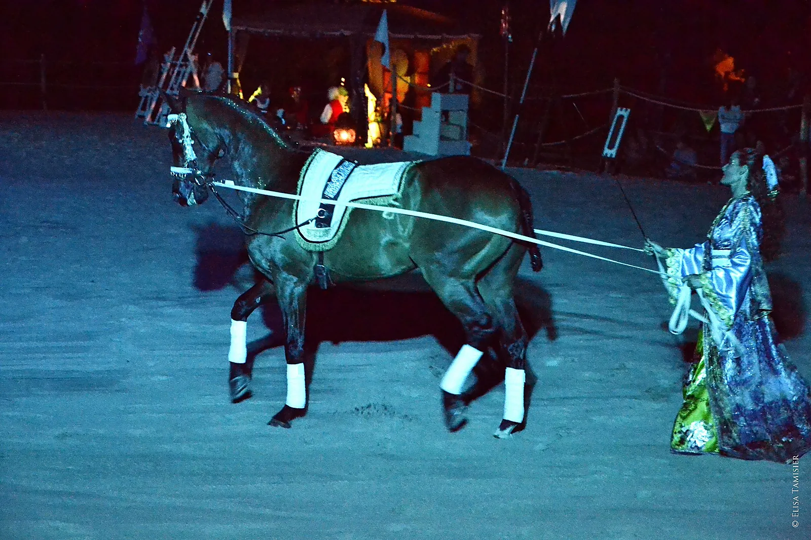 Animations événementielles, ECURIE CAPALLE