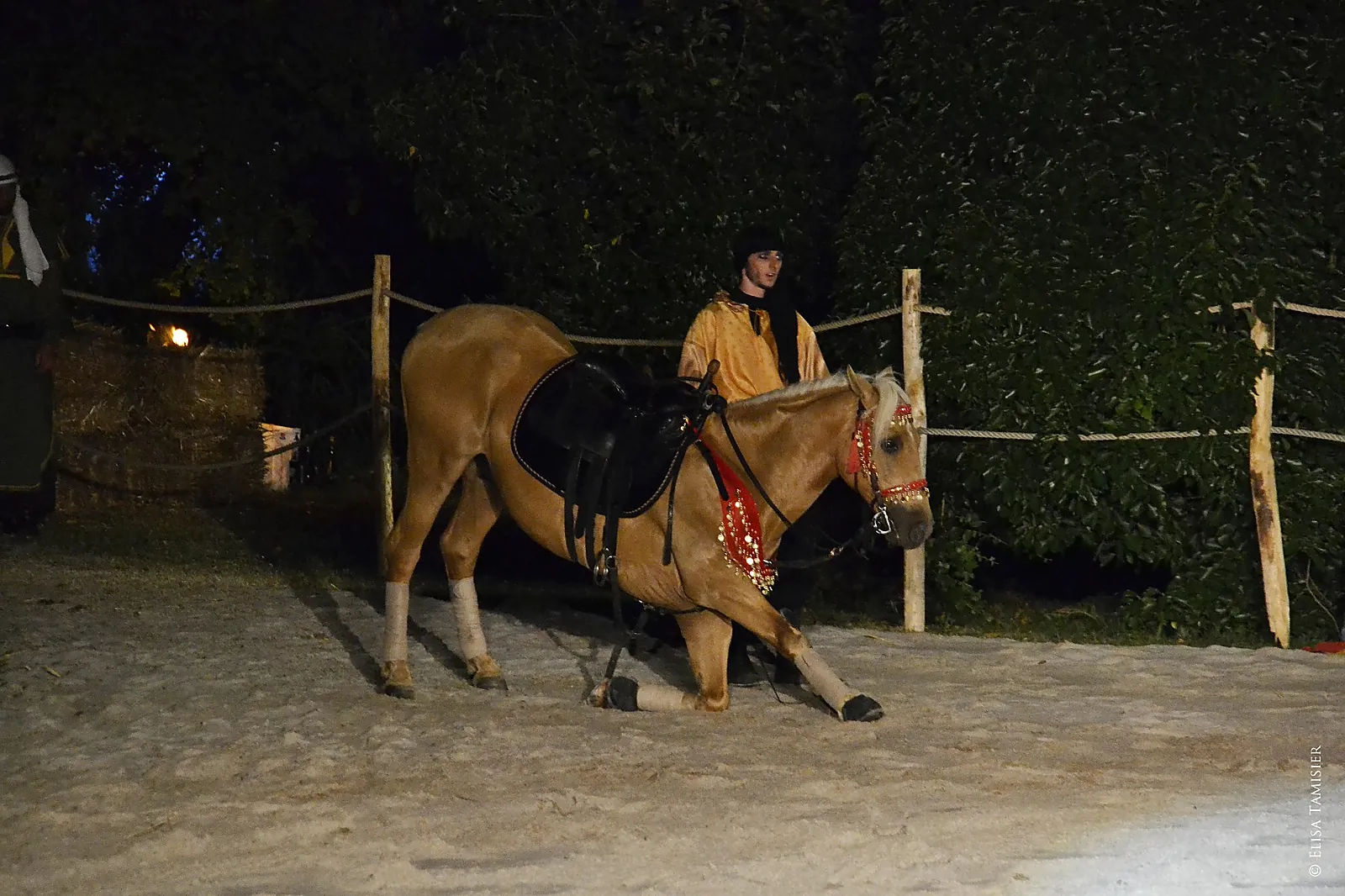 Animations événementielles, ECURIE CAPALLE