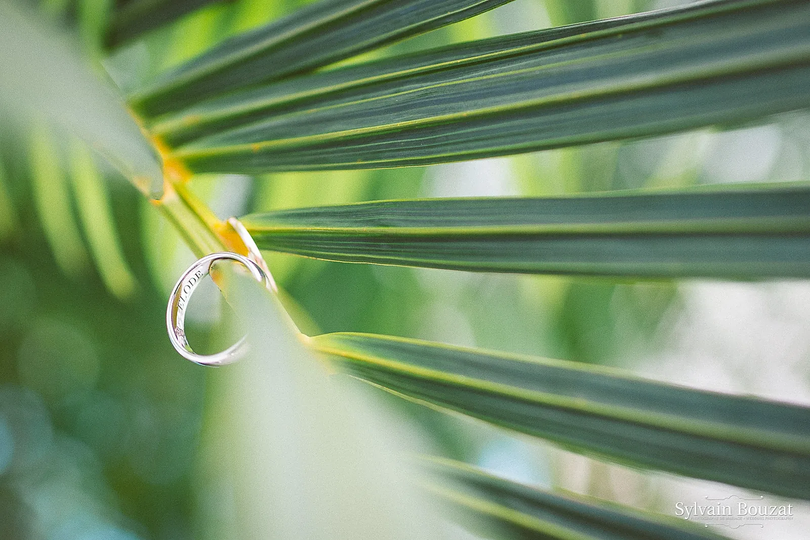 Photographe événementiel, SYLVAIN BOUZAT