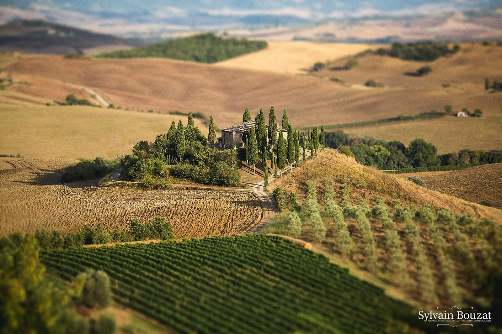 Photographe événementiel, SYLVAIN BOUZAT