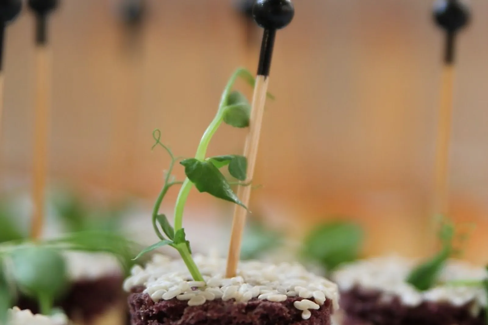 Traiteurs, CHAMBORD PRESTIGE