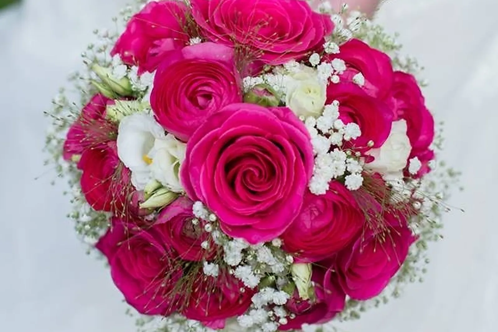 Mobilier et décoration, LAURE TARIS