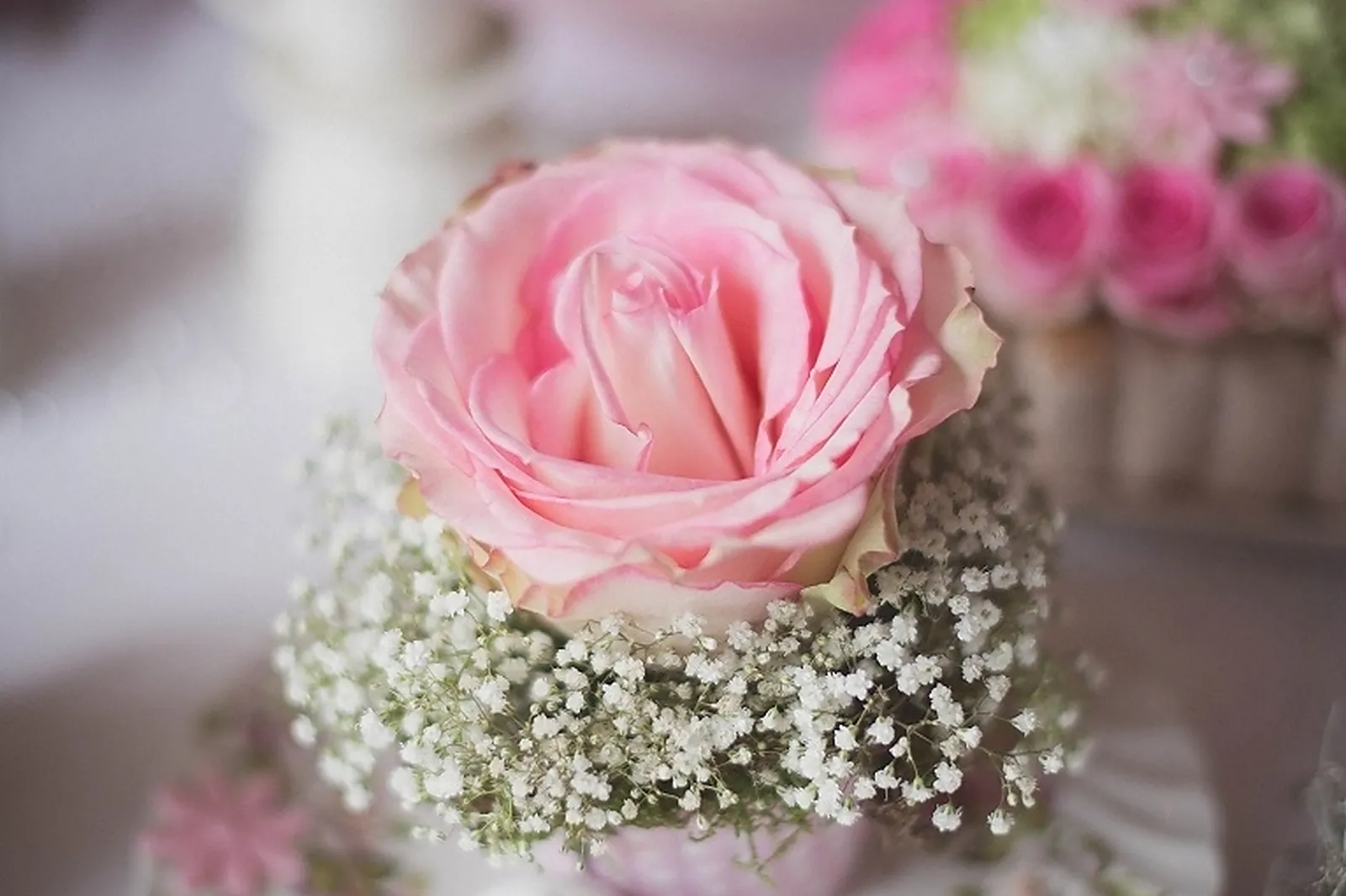 Mobilier et décoration, LAURE TARIS