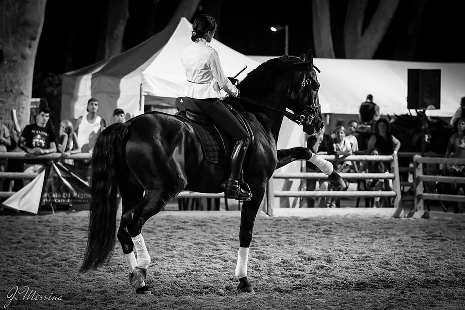 Animations événementielles, LES ATTELAGES BLANC