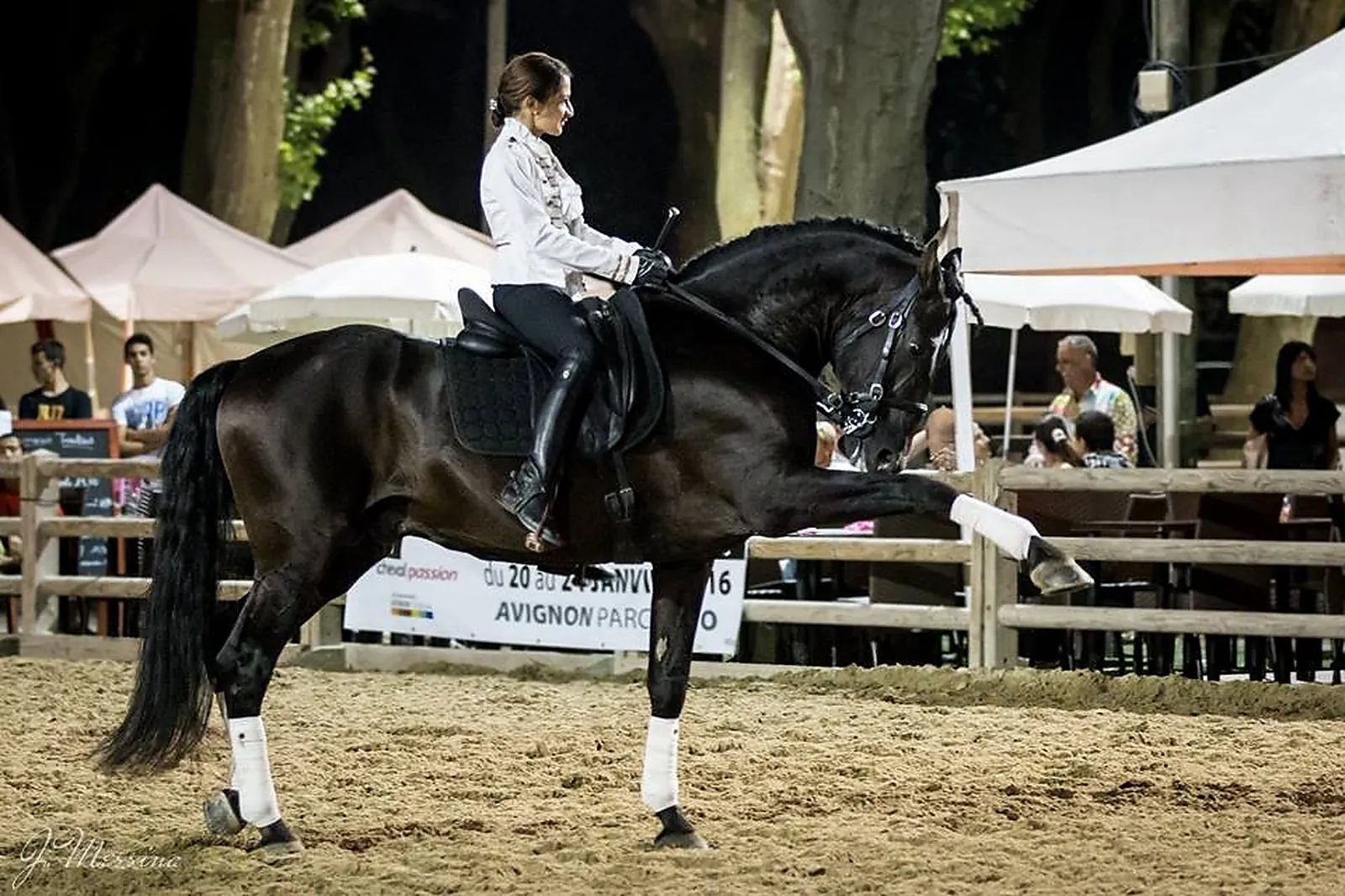 Animations événementielles, LES ATTELAGES BLANC