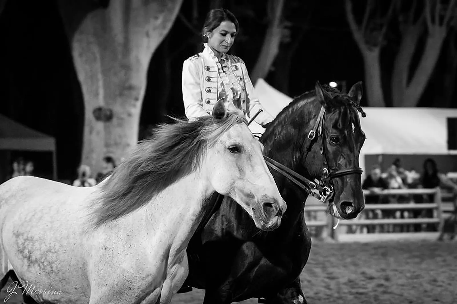 Animations événementielles, LES ATTELAGES BLANC