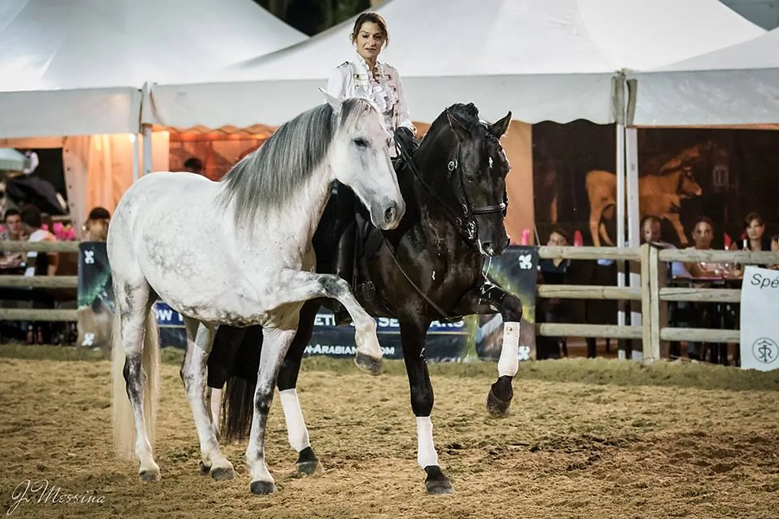 Animations événementielles, LES ATTELAGES BLANC
