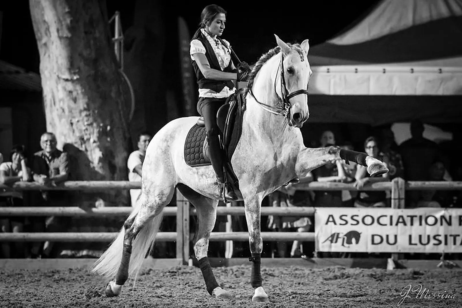 Voiturier, LES ATTELAGES BLANC