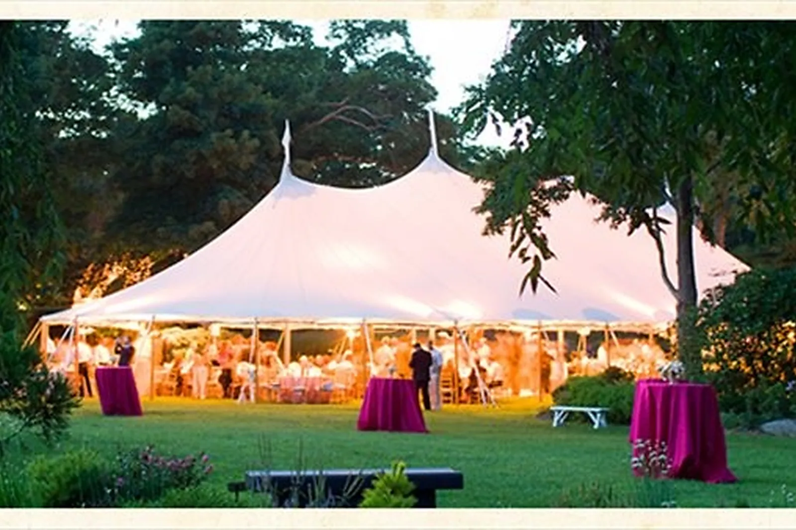 Prestataire Technique Audiovisuel, ORGANIC CONCEPT