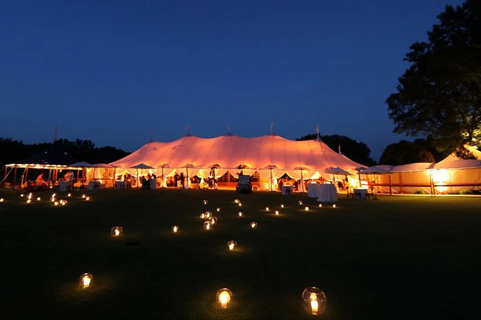 Prestataire Technique Audiovisuel, ORGANIC CONCEPT