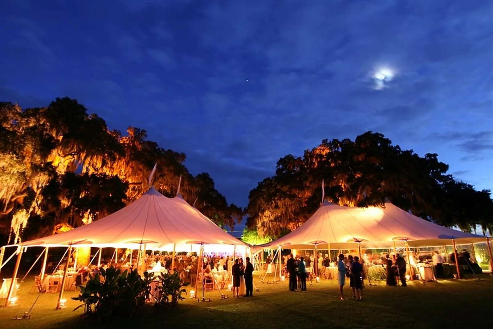 Prestataire Technique Audiovisuel, ORGANIC CONCEPT