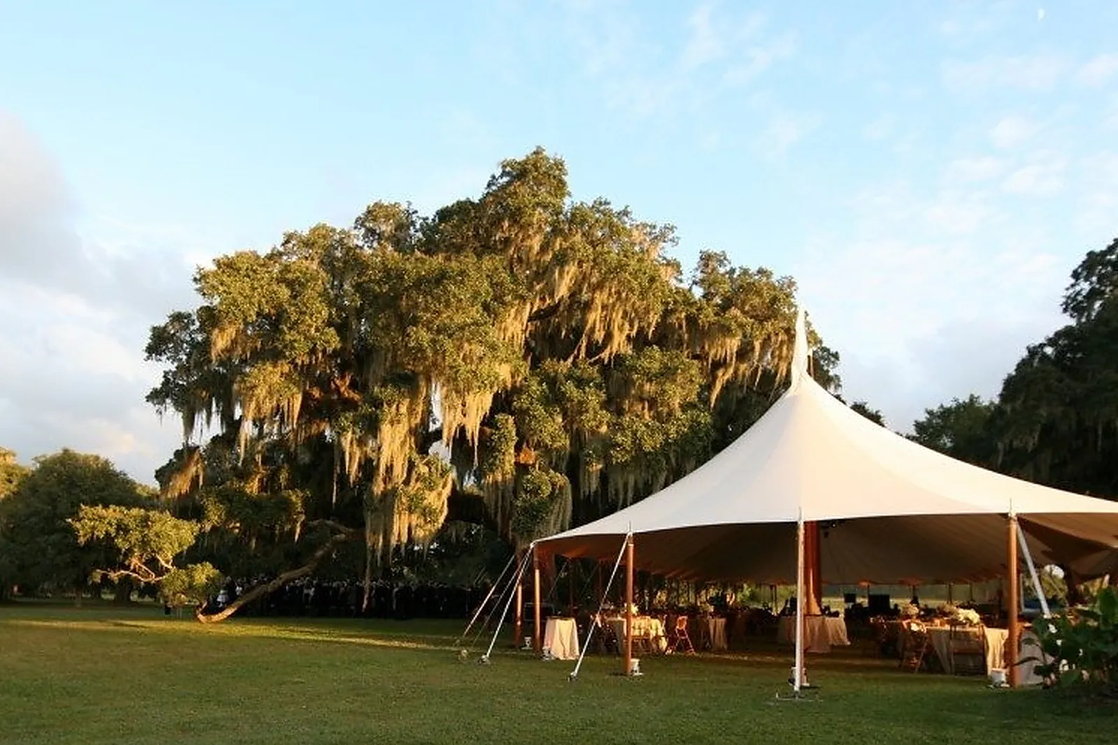 Prestataire Technique Audiovisuel, ORGANIC CONCEPT