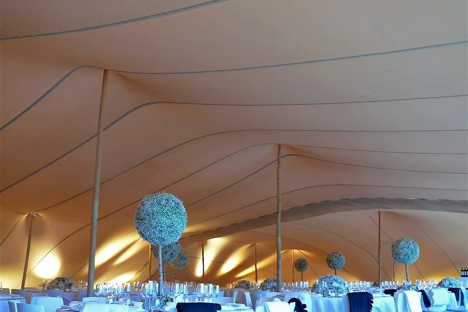 Prestataire Technique Audiovisuel, ORGANIC CONCEPT