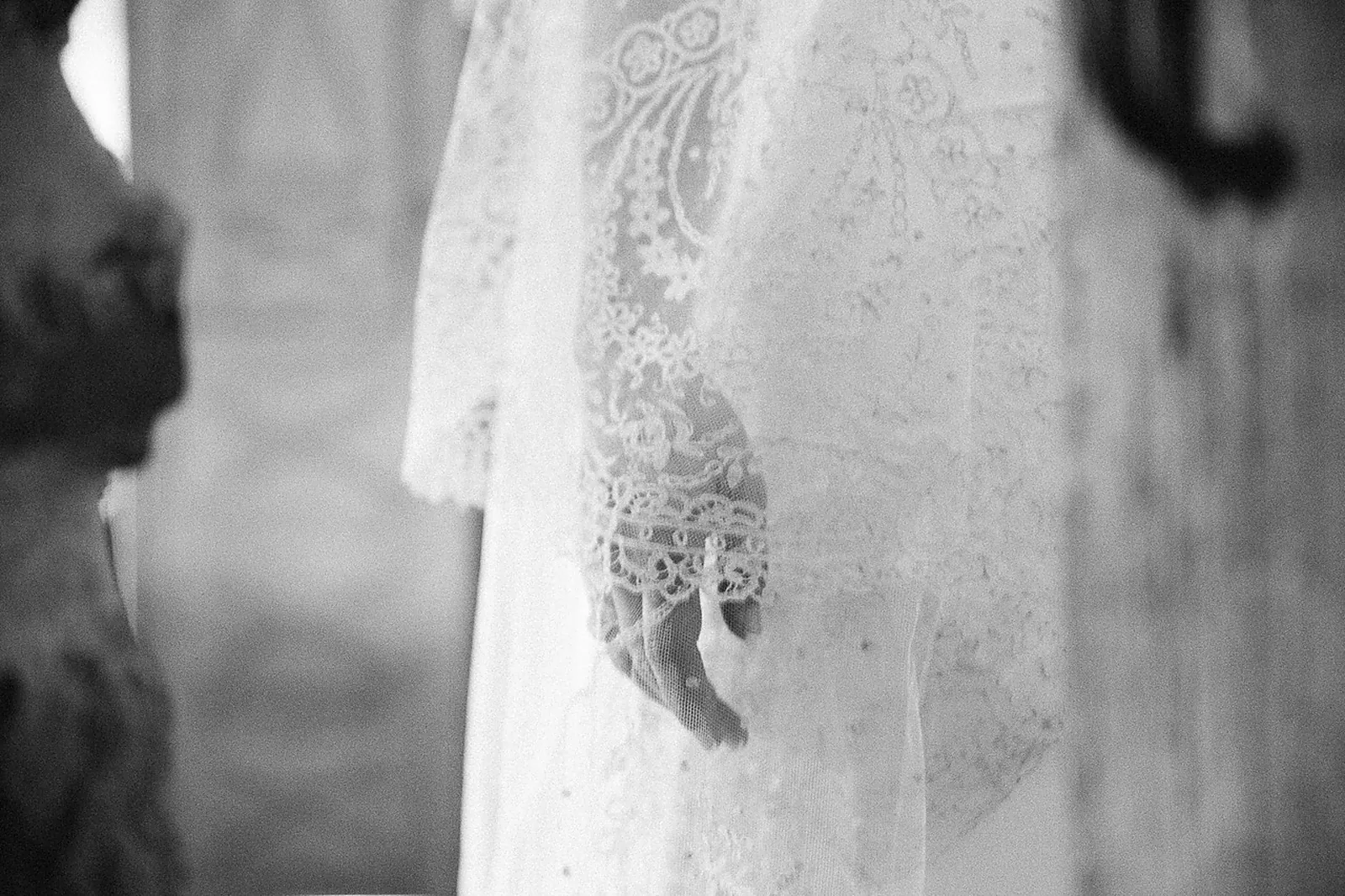 Photographe, DRC (DRAGONFLY)