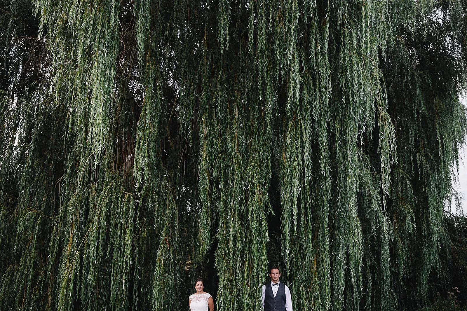 Photographe, DRC (DRAGONFLY)