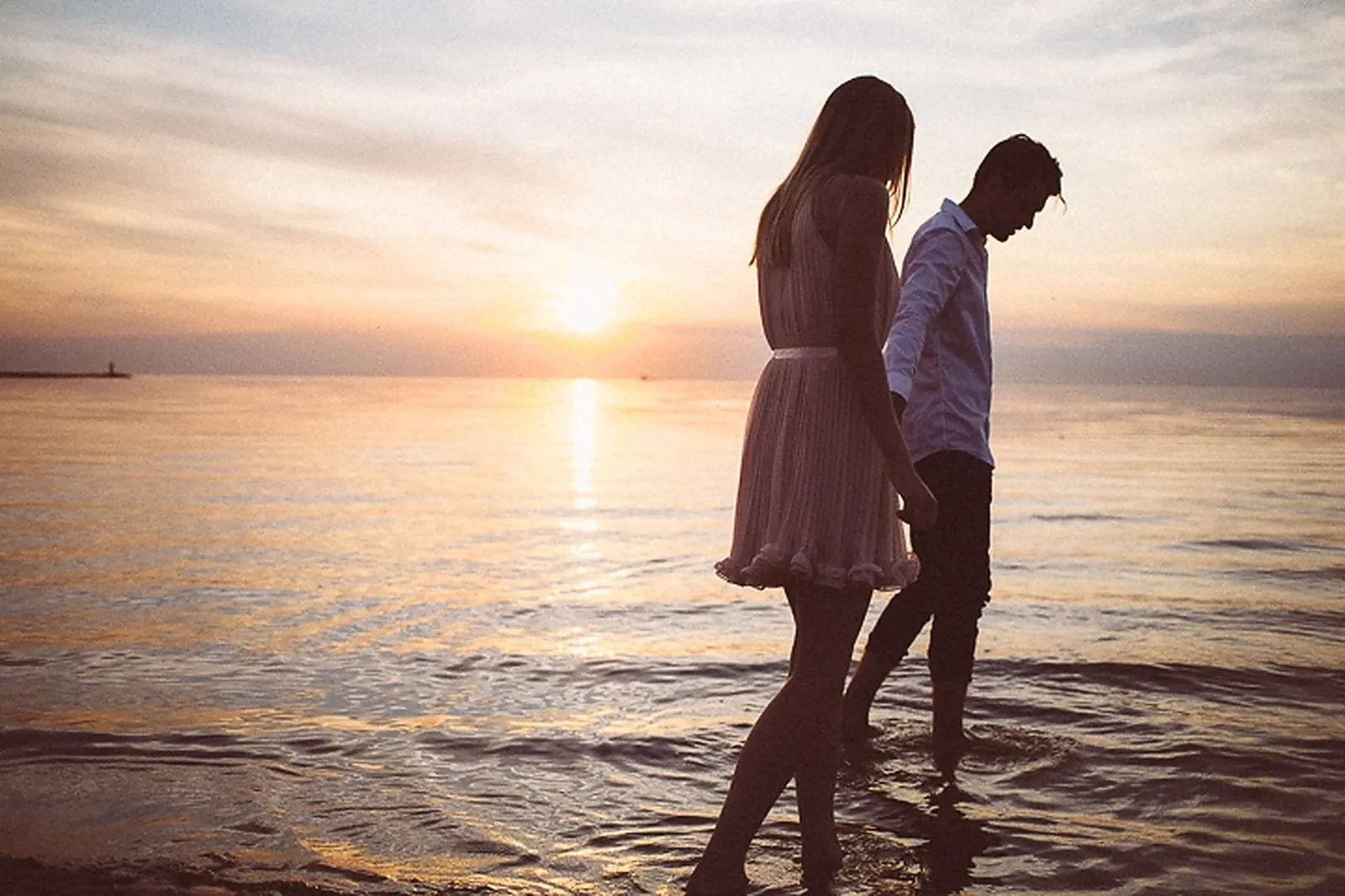 Photographe, DRC (DRAGONFLY)