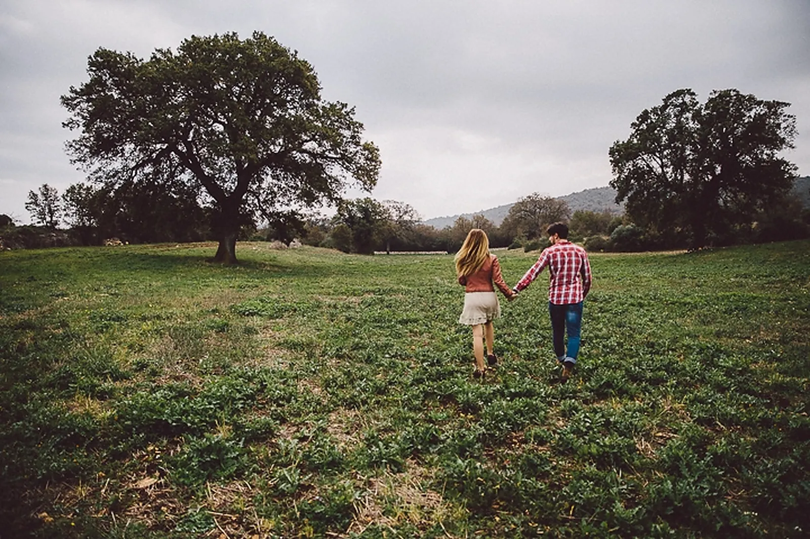 Photographe, DRC (DRAGONFLY)