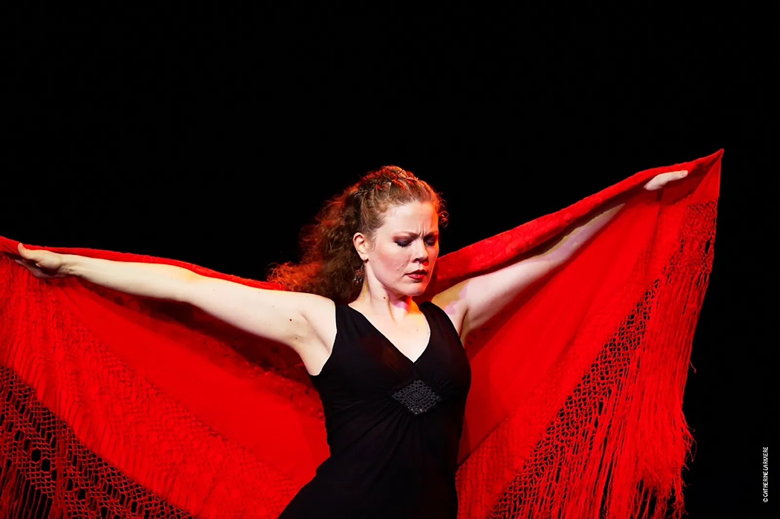 DJ & Groupes de musique, COMPAGNIE FLAMENCA MANOLO PUNTO