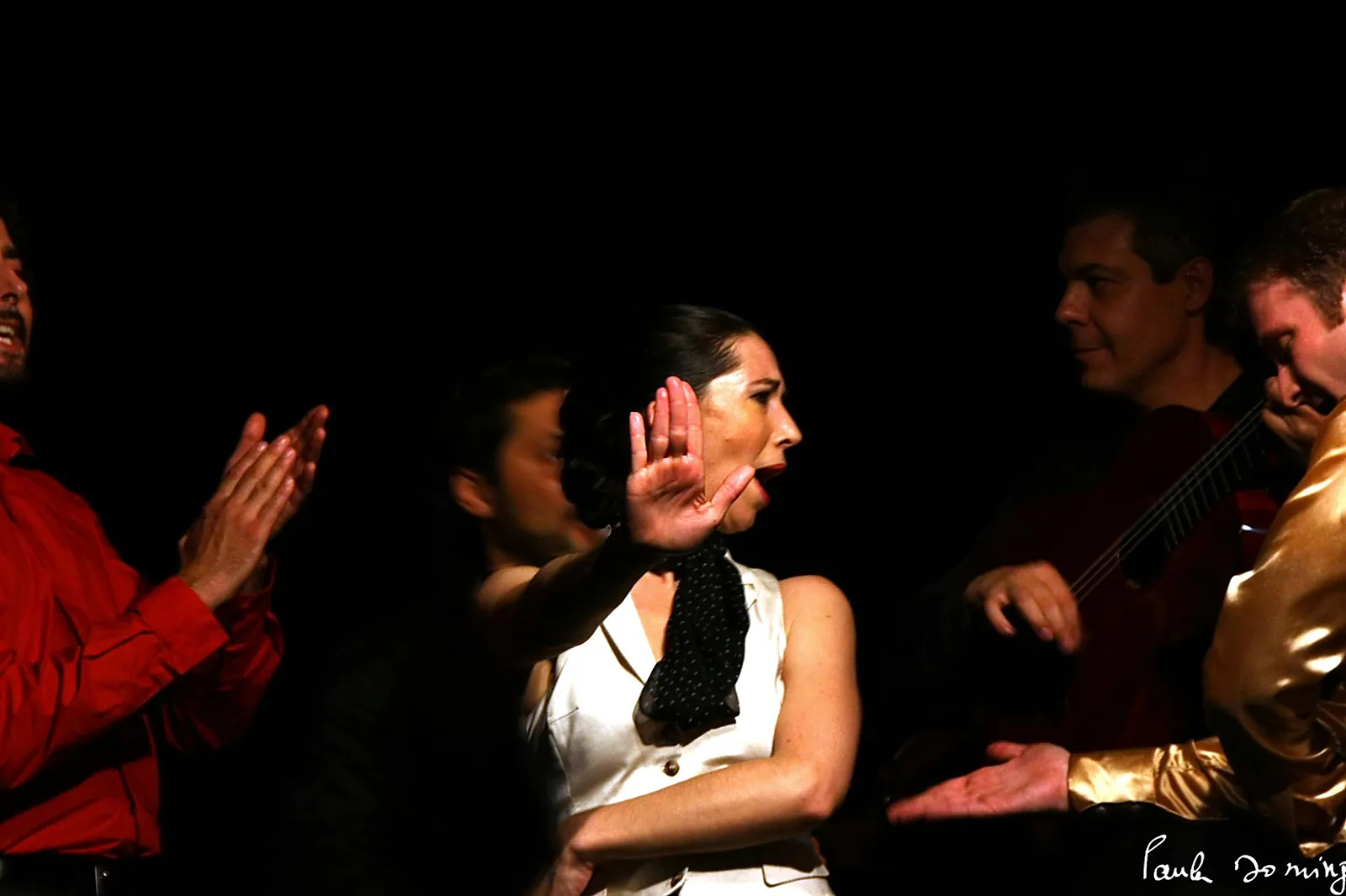 DJ & Groupes de musique, COMPAGNIE FLAMENCA MANOLO PUNTO