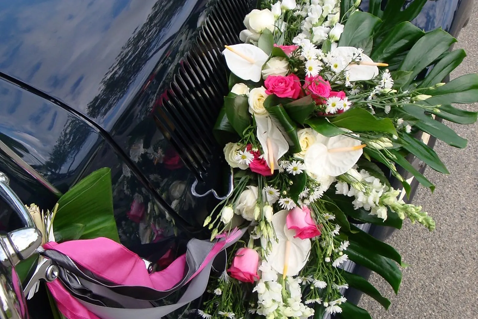 Languedoc-Roussillon-Midi-Pyrénées, SARL KLAUS HOLLANDER