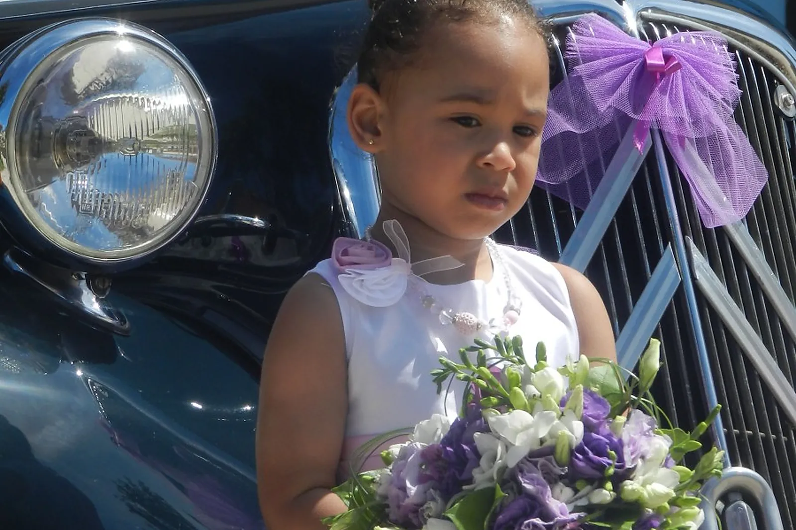 Languedoc-Roussillon-Midi-Pyrénées, SARL KLAUS HOLLANDER