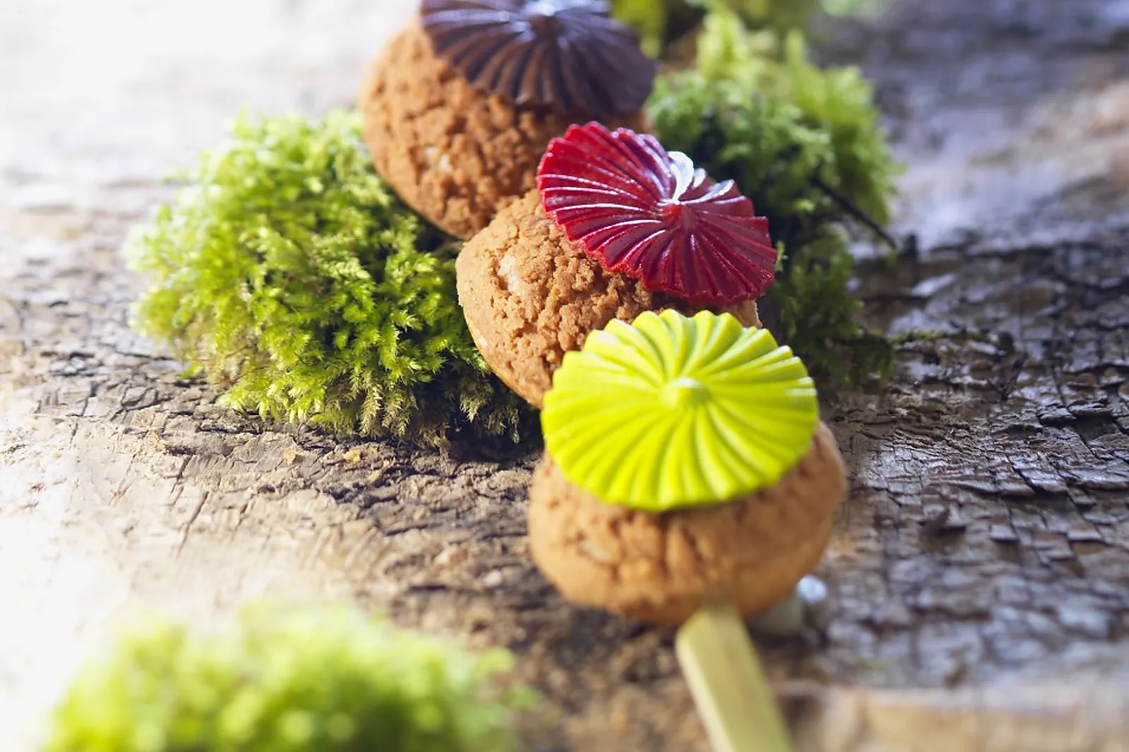 Traiteurs, 4810 RÉCEPTIONS