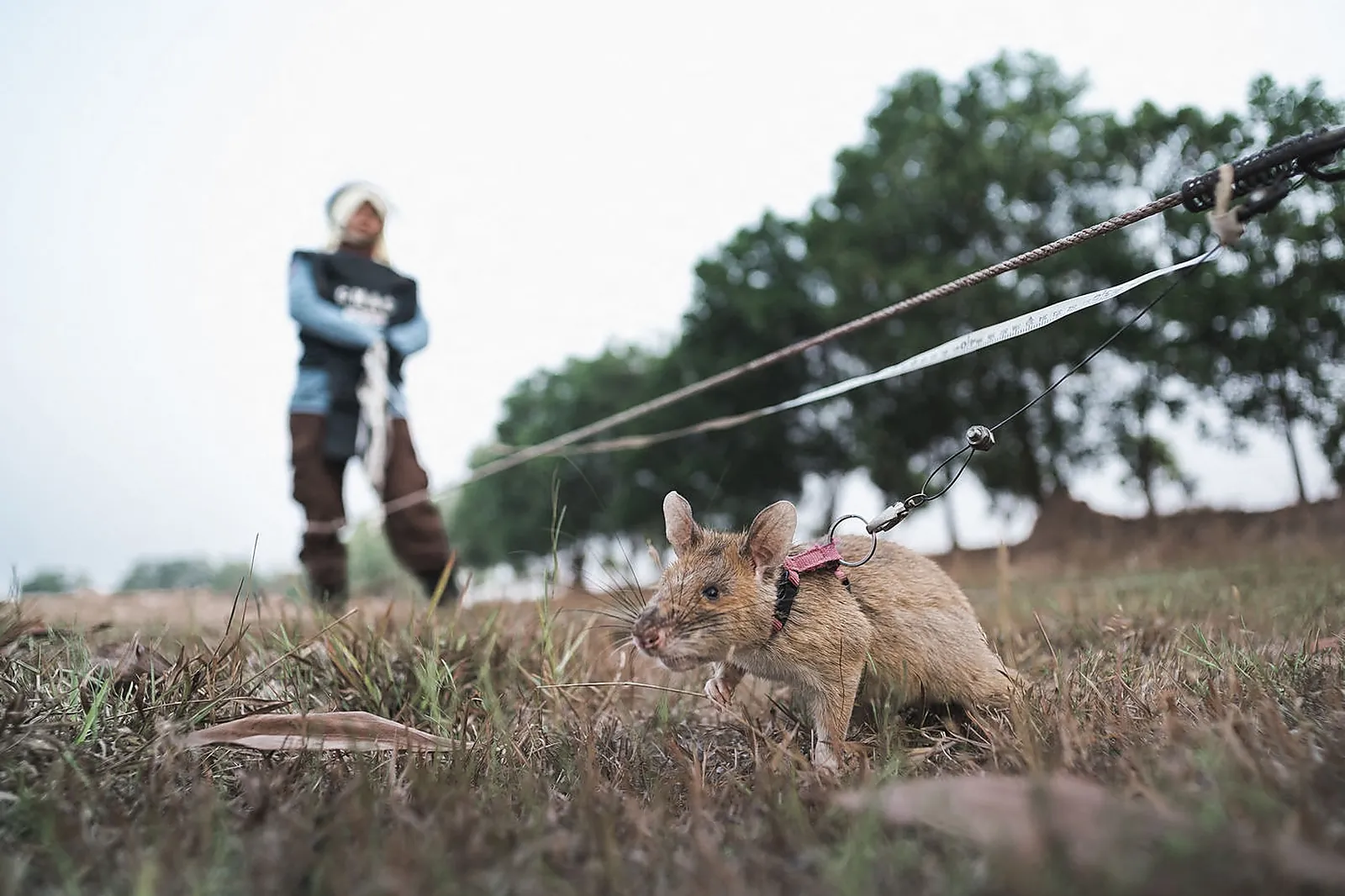 Photographe corporate, SIMON GUILLEMIN
