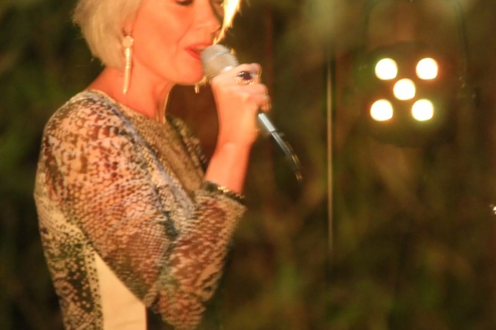 DJ & Groupes de musique, EMMA JAZZ TRIO