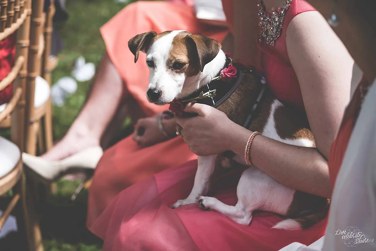 Photographe, JBO PHOTOGRAPHY