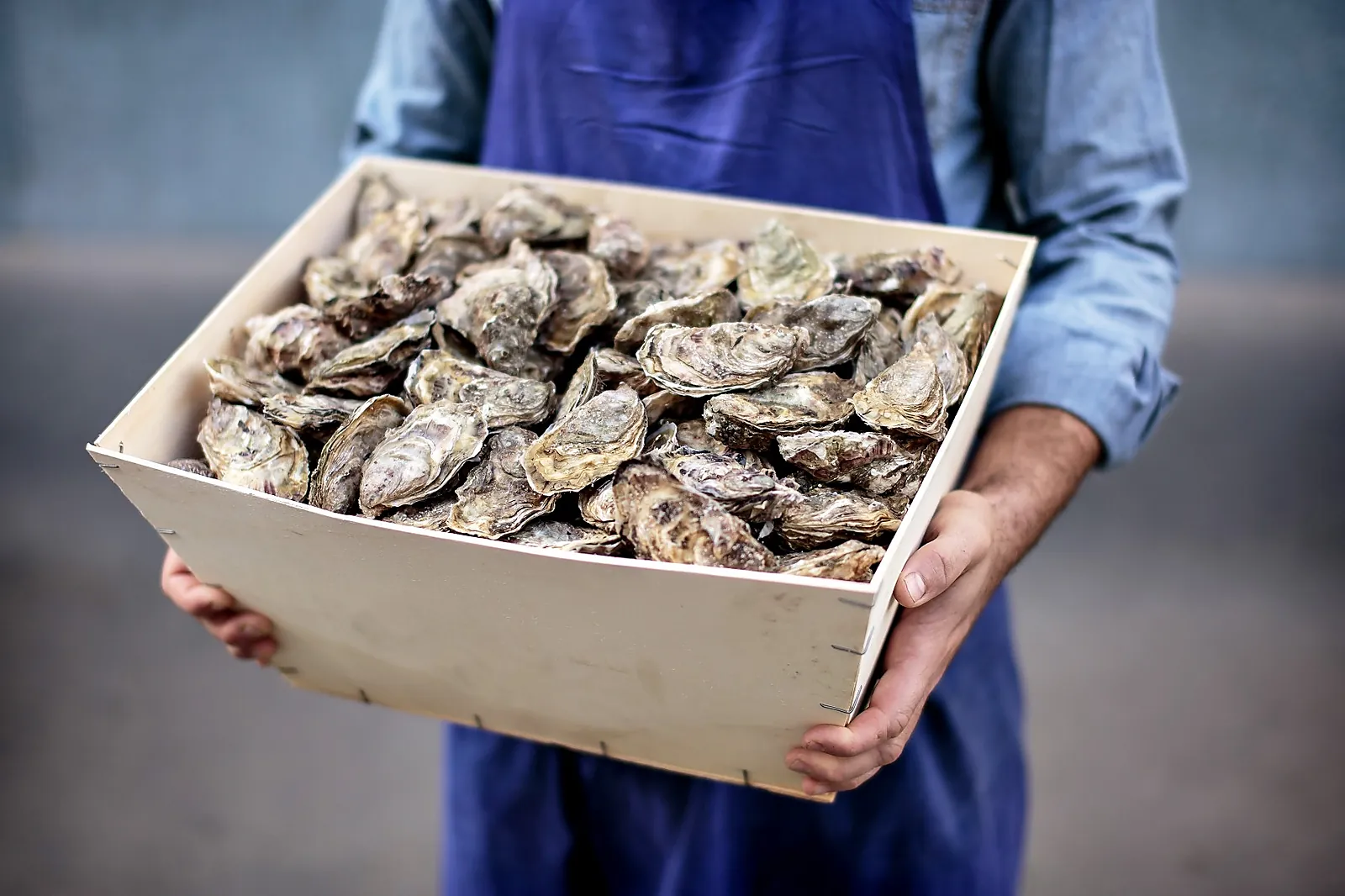 Centre d'affaires, PRESQUILE BZH SAS