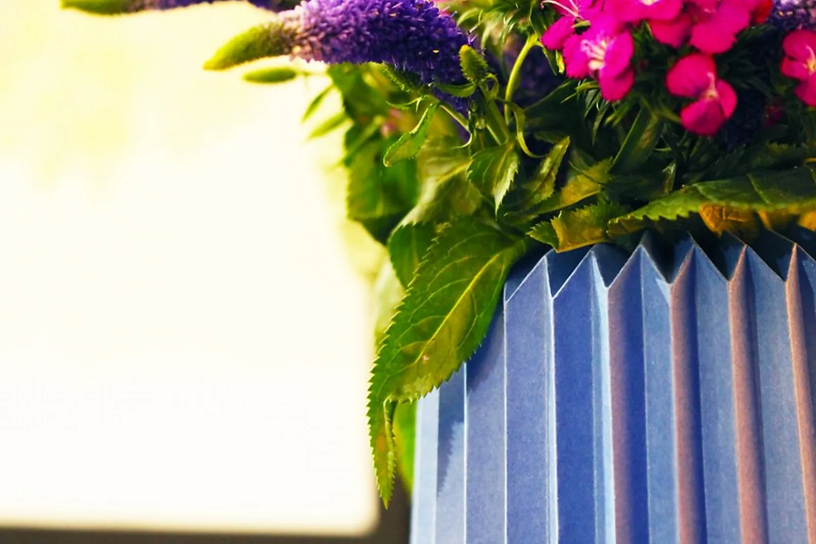 Lieu atypique, PLI MA DÉCO